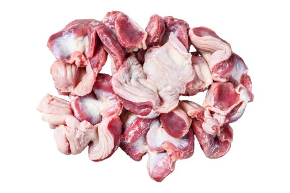 Chicken & turkey gizzard