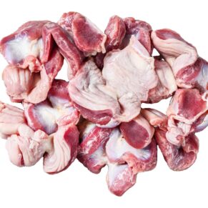 Chicken & turkey gizzard