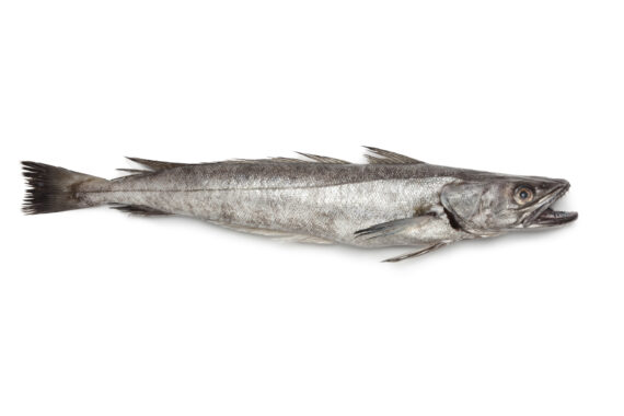 Whole Hake Box 10kg