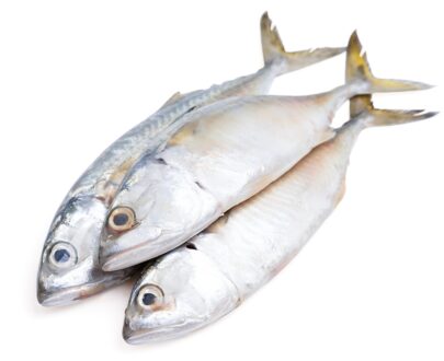 Whole mackerel fish