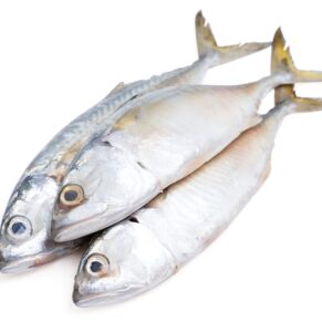Whole mackerel fish