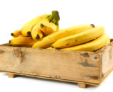 Yellow plantain box