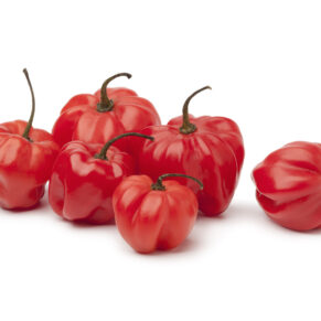 Scotch Bonnet (Red) Box 4-5kg