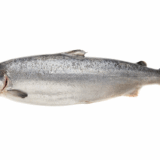 Fresh Whole Sea Trout