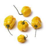 Scotch Bonnet (Yellow) Box 4-5kg