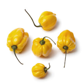 Scotch Bonnet (Yellow) Box 4-5kg