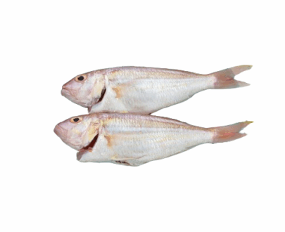 Whole yellow.croaker fish